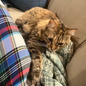 Meet your Posher, Avery